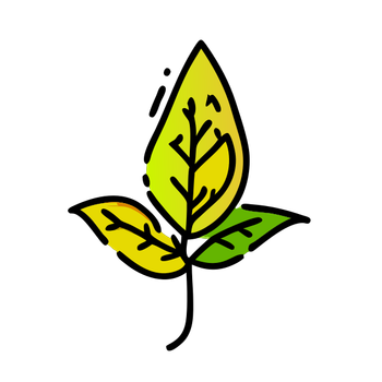 1 (3623).png